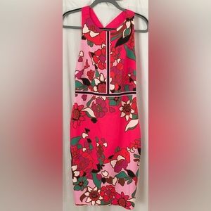 NWT Ted Baker London Marloww Piñata Floral Sheath Dress in Pink size 2